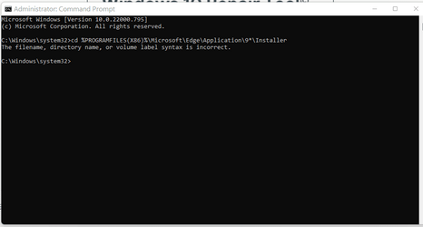 prompt issue.png