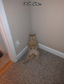 cat charging.png
