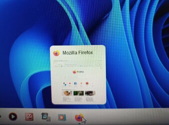 Firefox.jpg Firefox.jpg