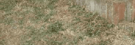 1661105301608.png 1661105301608.png