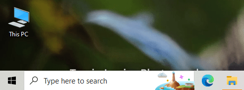 search bar.png