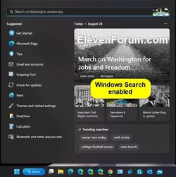 Windows_Search_enabled.jpg