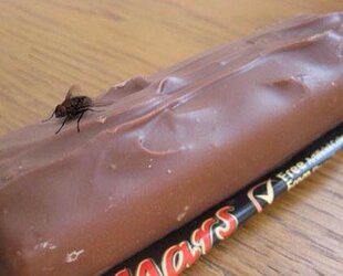 Proof that there is life on MARS!.jpg