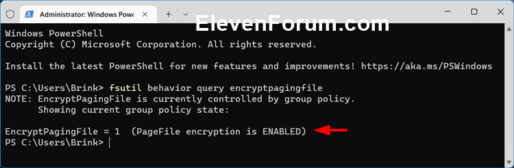Encrypt_paging_file_command-2.png
