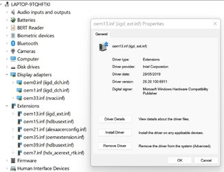 Old 2019 iigd_ext.info driver.jpg