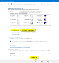 Mouse_Keys_Control_Panel-2.png