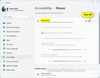 Mouse_Keys_Settings-3.png