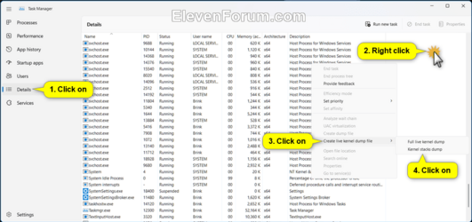 Live_kernal_dump_Task_Manager.png