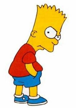 bart.JPG