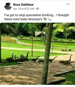 5ea0b0590ab69.jpeg