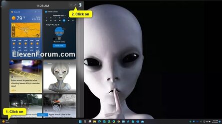 Widgets_minimized.jpg