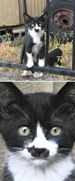 gnl9vR3.jpeg