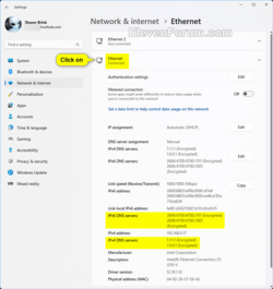 DNS_Settings-2.png
