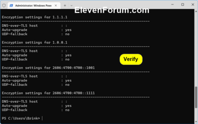 Verify_DoT_encryption_command-2.png