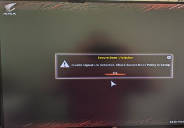 bios error.jpg