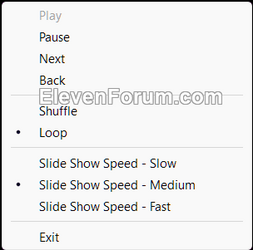 slide_show_options.png