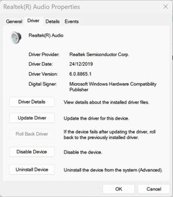 Realtek driver info W11.jpg