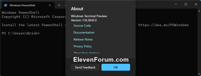 Windows_Terminal_Preview_version.png