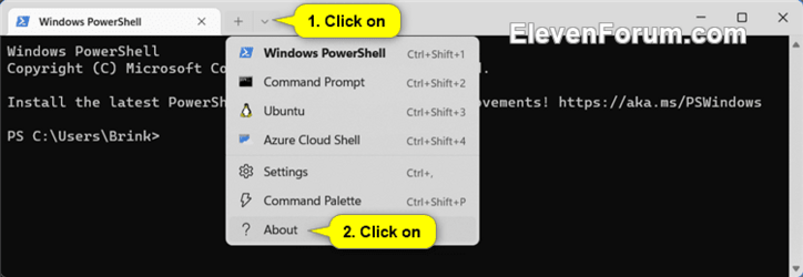 Windows_Terminal_version-1.png