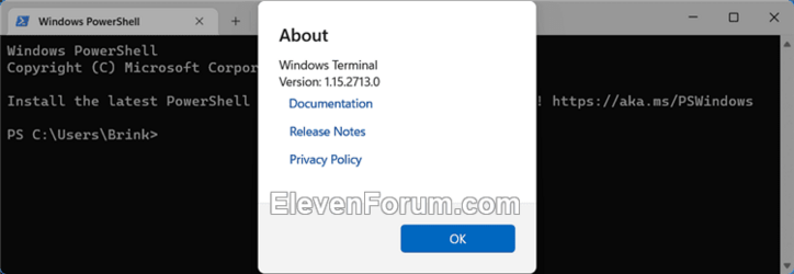 Windows_Terminal_version-2.png