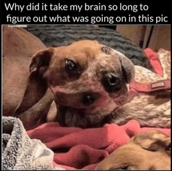 2022-10-05 21_17_23 .png 2022-10-05 21_17_23 .png