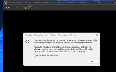 VM.png