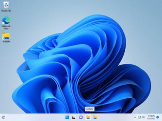 Windows 10 x64-2022-11-02-22-13-39.png