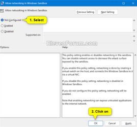 Networking_in_Windows_Sandbox_gpedit-2.png