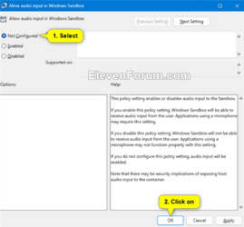 audio_input_in_Windows_Sandbox_gpedit-2.png