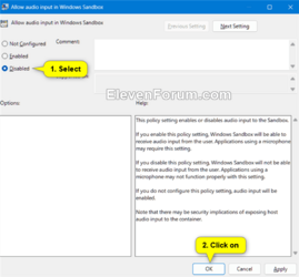 audio_input_in_Windows_Sandbox_gpedit-3.png