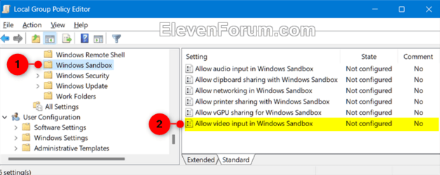video_input_in_Windows_Sandbox_gpedit-1.png