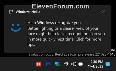 Windows_Hello.png