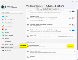 Optional_updates-2.png