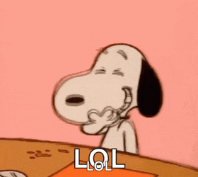LololFunnyGIF.gif
