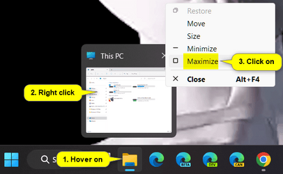 thumbnail_maximize.png