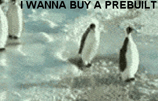 penguins-PREBUILT.gif