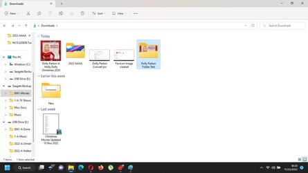 Favicon in Folder.jpg