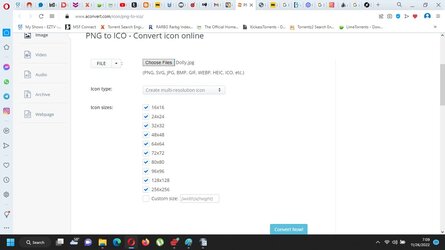 Dolly convert screenshot.jpg