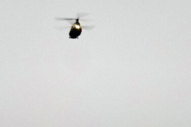 chinook.jpg