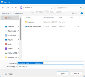 Snipping_Tool_record_screen-6.png