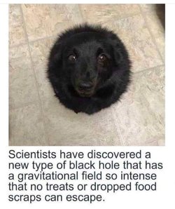 60657933_585348621970894_2772103516406153216_n.jpg