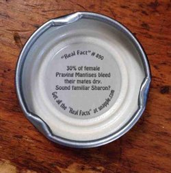 snapple-facts.jpg