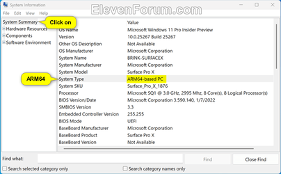 System_Type_msinfo32-2.png