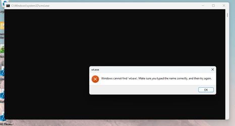 wt.exe_error.png