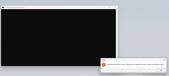wt.exe_errorB.png