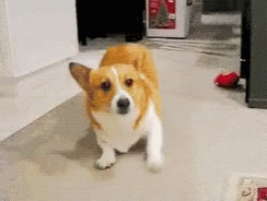 BackupHoldUpGIF.gif