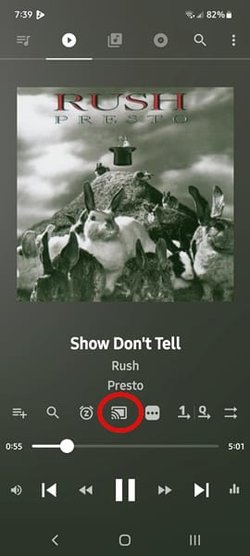 mus.jpg mus.jpg