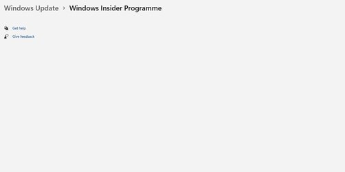 Windows 11 Insider Program Settings.jpg