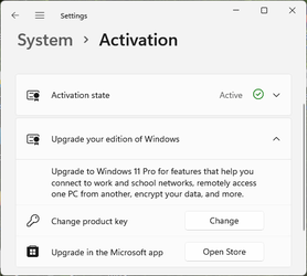 Upgrade 11 Home to Pro.PNG