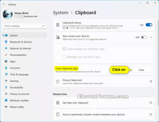 Clear_Clipboard_History_Settings.png